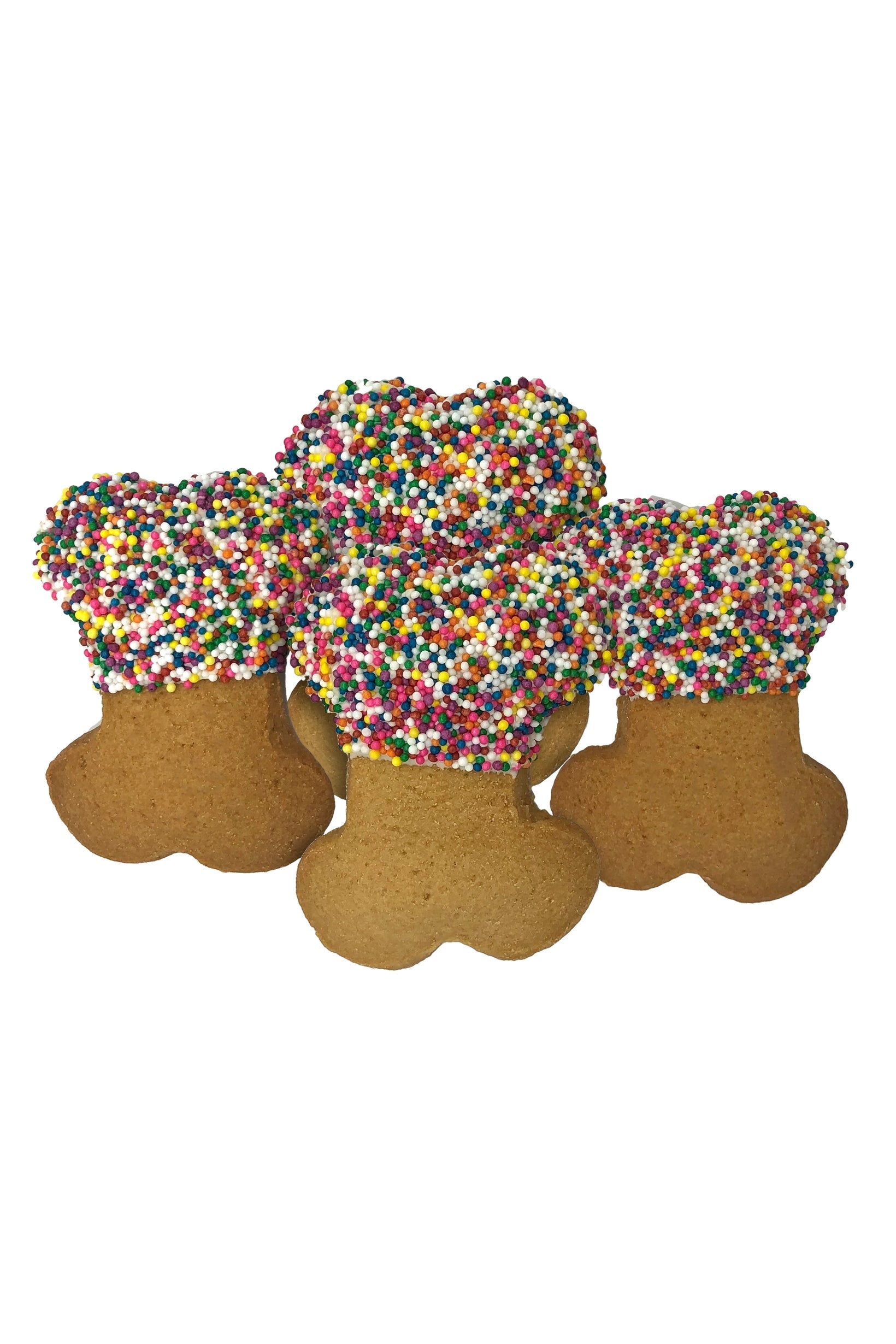 Claudia's Canine Bakery Sprinkle Party Bones Dog Cookies